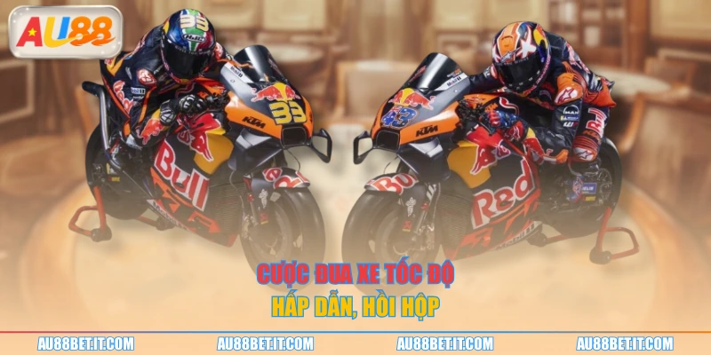 Cược đua xe tốc độ hấp dẫn, hồi hợp